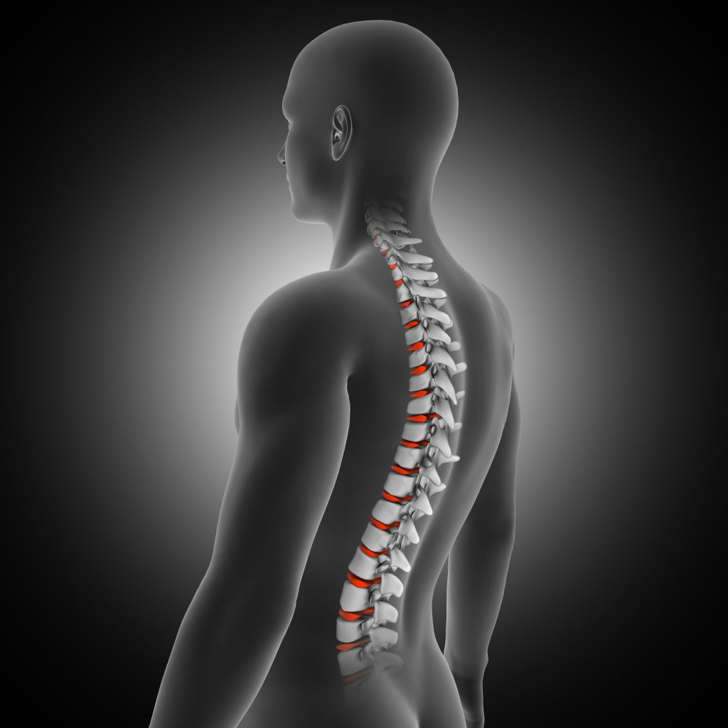 3d Render Medical Background With Male Figure With Spine Discs Highlighted Scaled - Chiropractic Downey